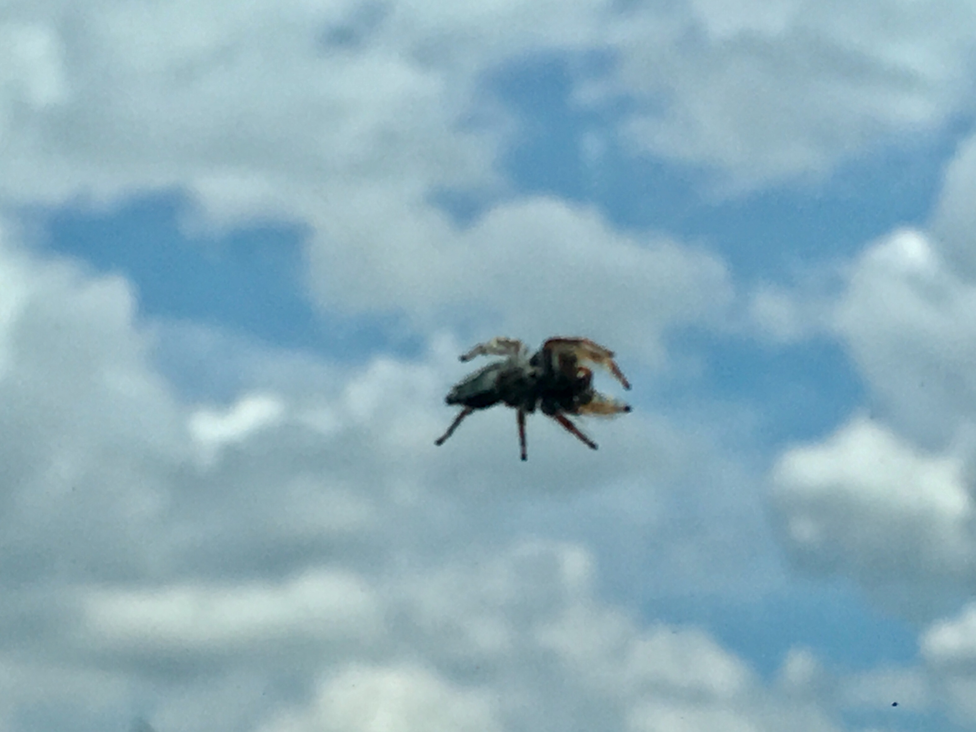 35646384-038D-4D3B-B781-8C1A6A16CD60