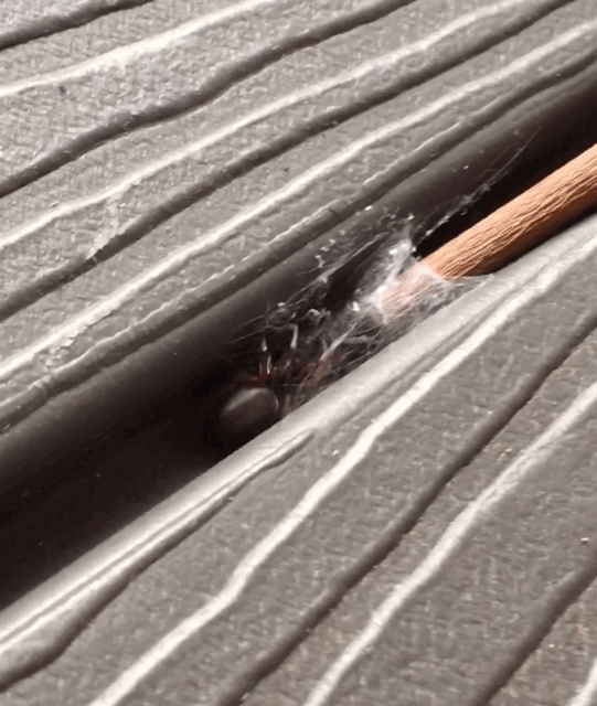 3F3CC6C9-D453-4625-A6B2-208923343349