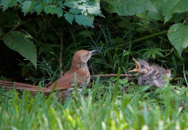 512E2955-2FB7-45E6-884C-B6A7B6691DEC