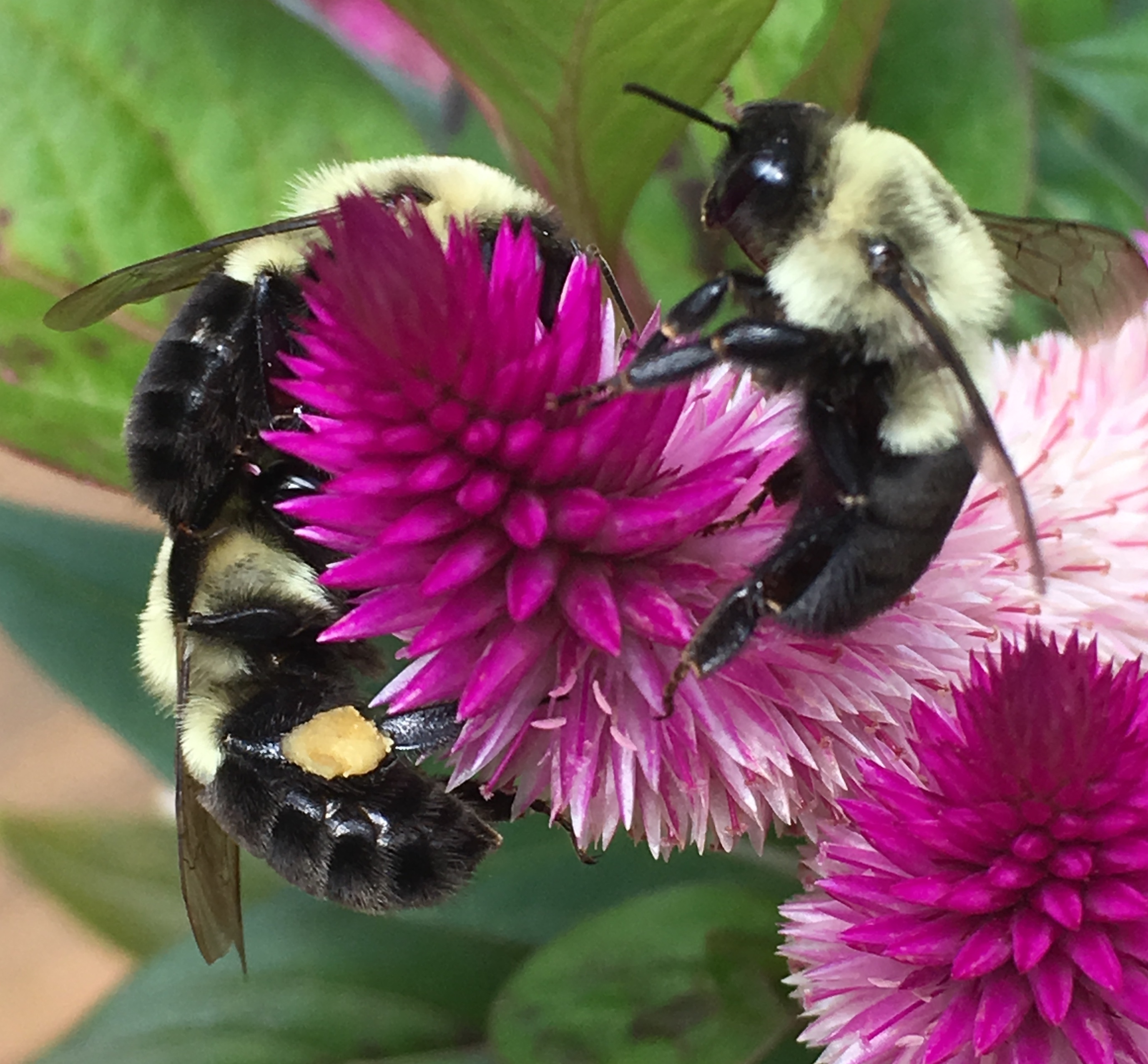 5CBD368A-B451-4A91-B43C-815DBC5BF4A0