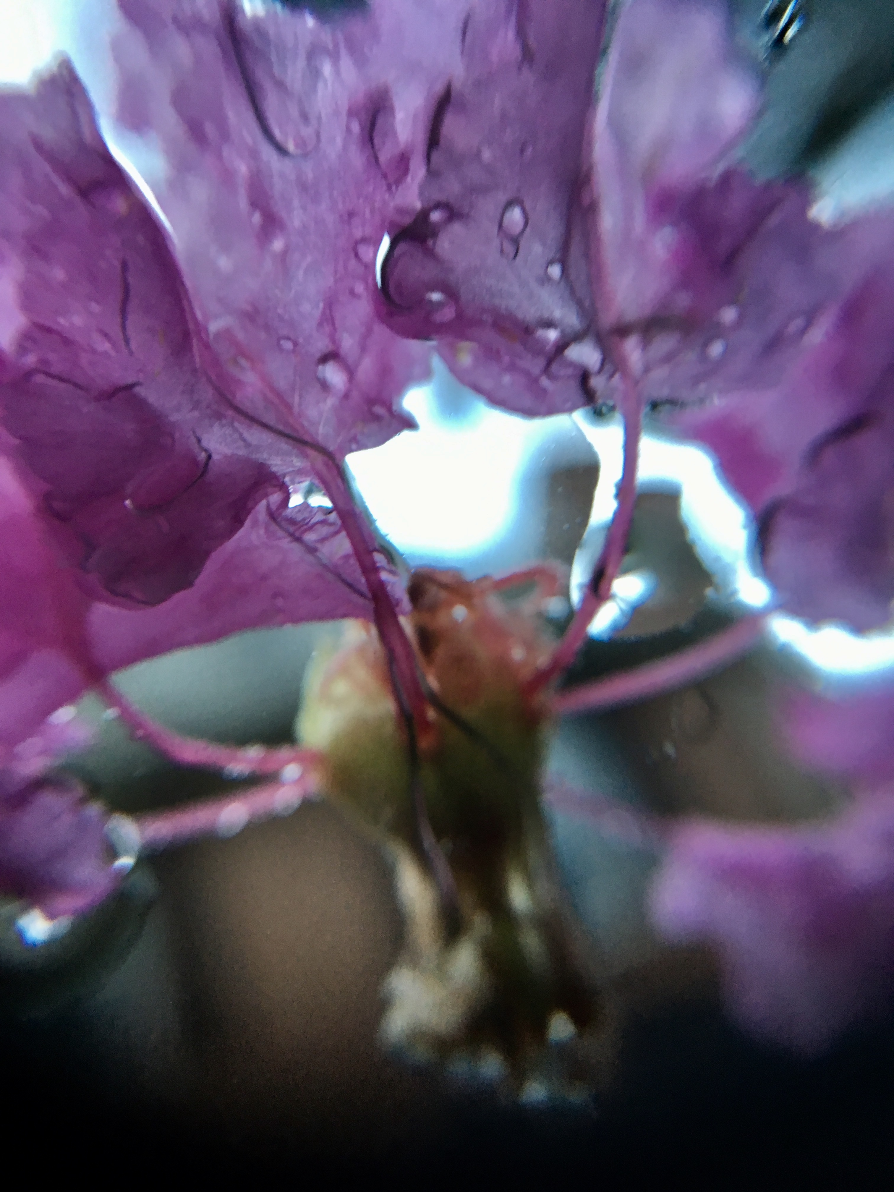 602356CE-064E-4A7E-818B-18784A07AEE8