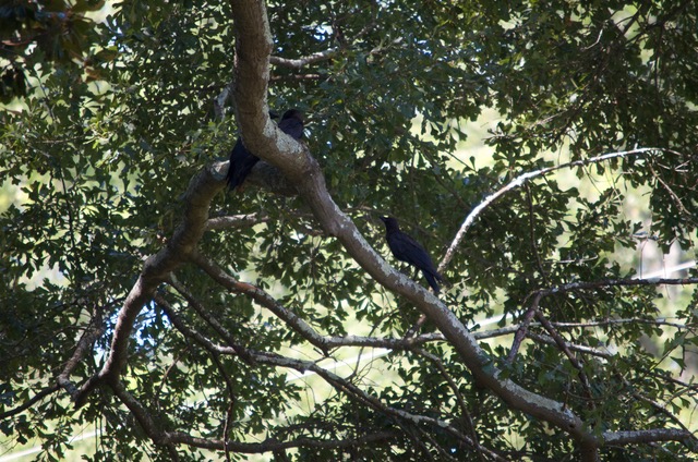 9E559343-F7EE-489F-A0AB-9D43002C9B0A