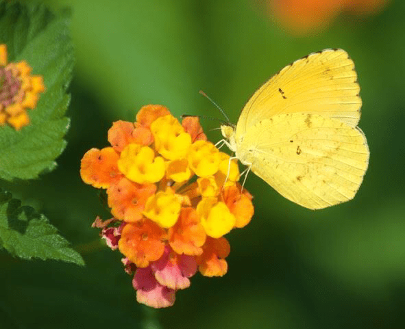 9EA6AA4B-6EF9-4154-B2D5-1CADE0895C05