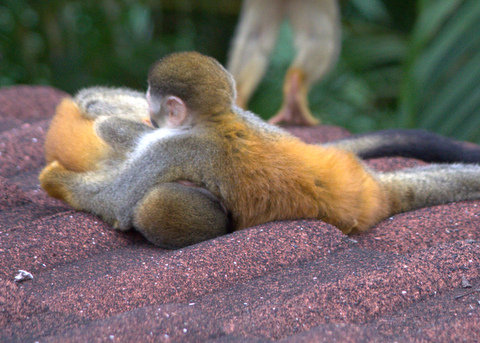 E6817790-4DE4-4254-88EB-729F2C55569A