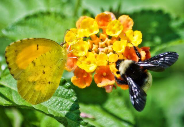 EE65122E-D85C-4021-9CA8-D12308779BC3