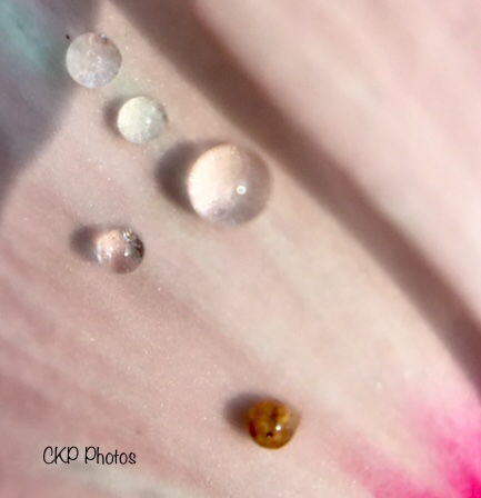 F0CF8A65-1B0A-4B3F-AD9F-F553781AA20F