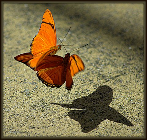 Week’s End/ #JusJoJan24/#SoCS