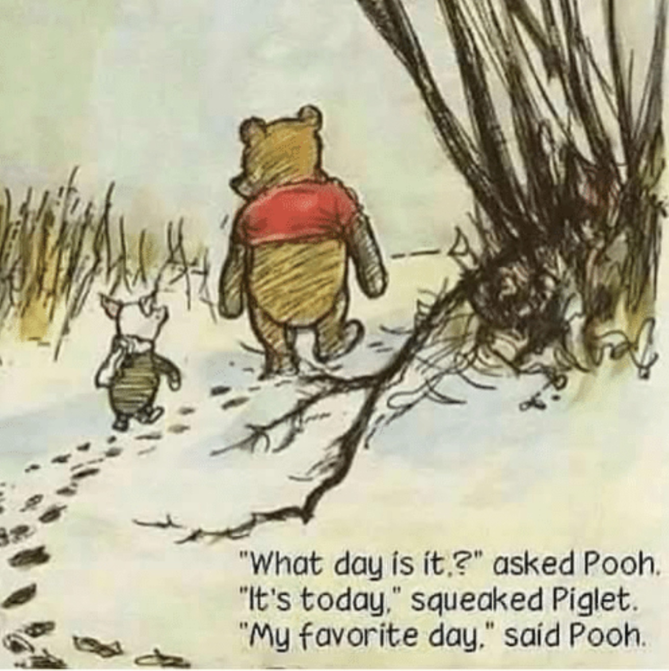 06C3EE6C-8690-474E-AD97-6CD81C7031EF