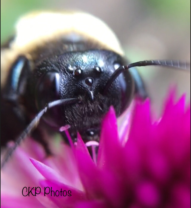 497EC41B-1359-4925-906D-14C438C371A1