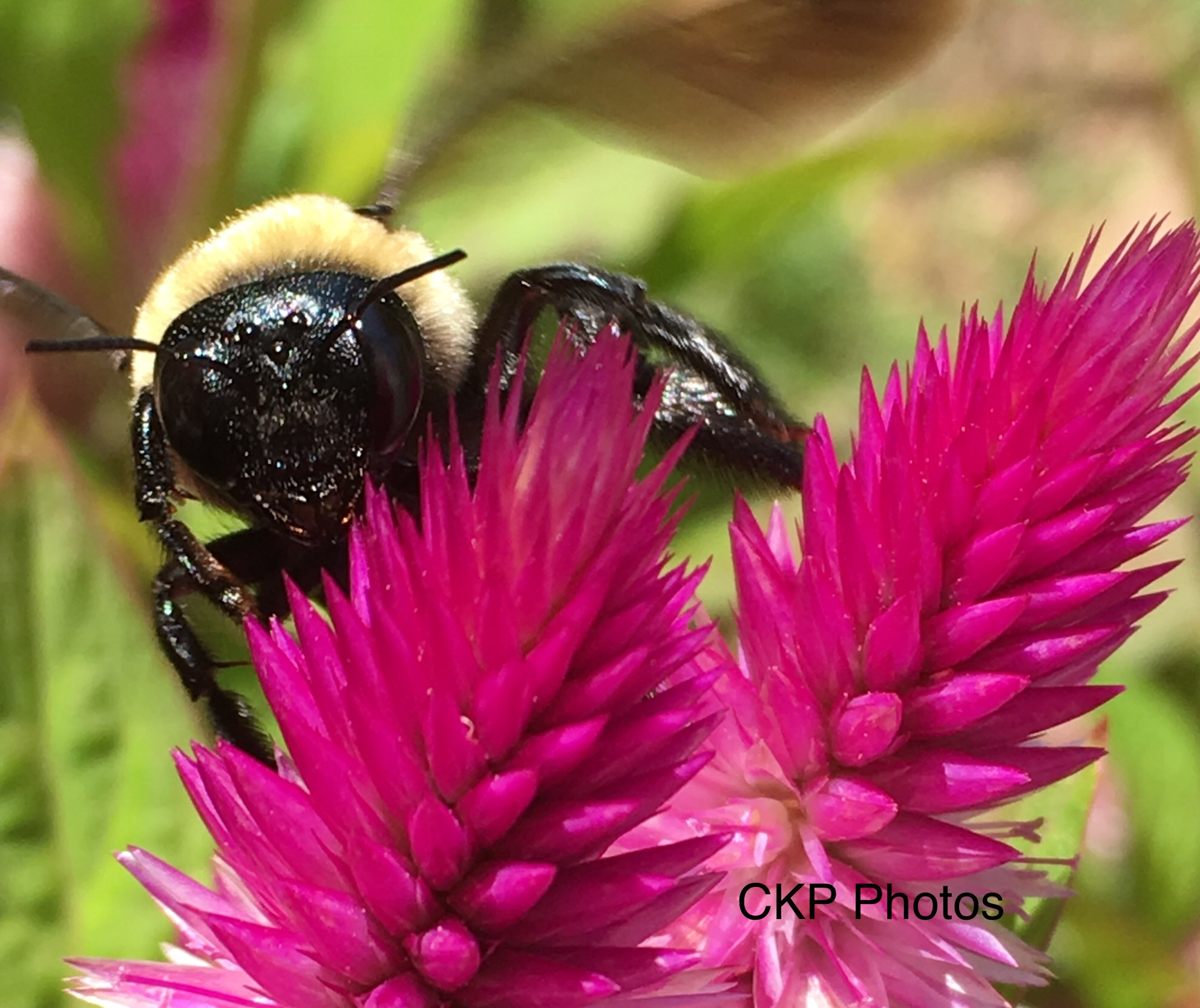 4E877977-4CF6-4663-B8D8-D06BC7D07B39