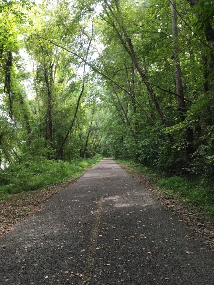 News and Views/The&nbsp;#Free48