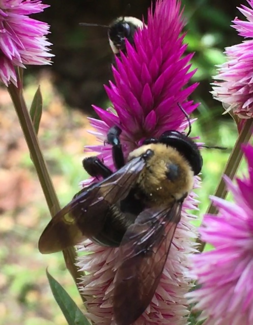 Peek-A-Boo! #photography