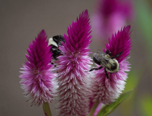 B84B6103-0AA8-4D6E-A023-9F660F6A9595