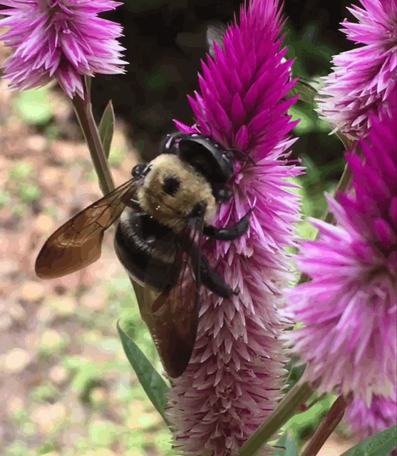 CFD68BE3-9EBB-45B0-8A4A-3EEBBB964874