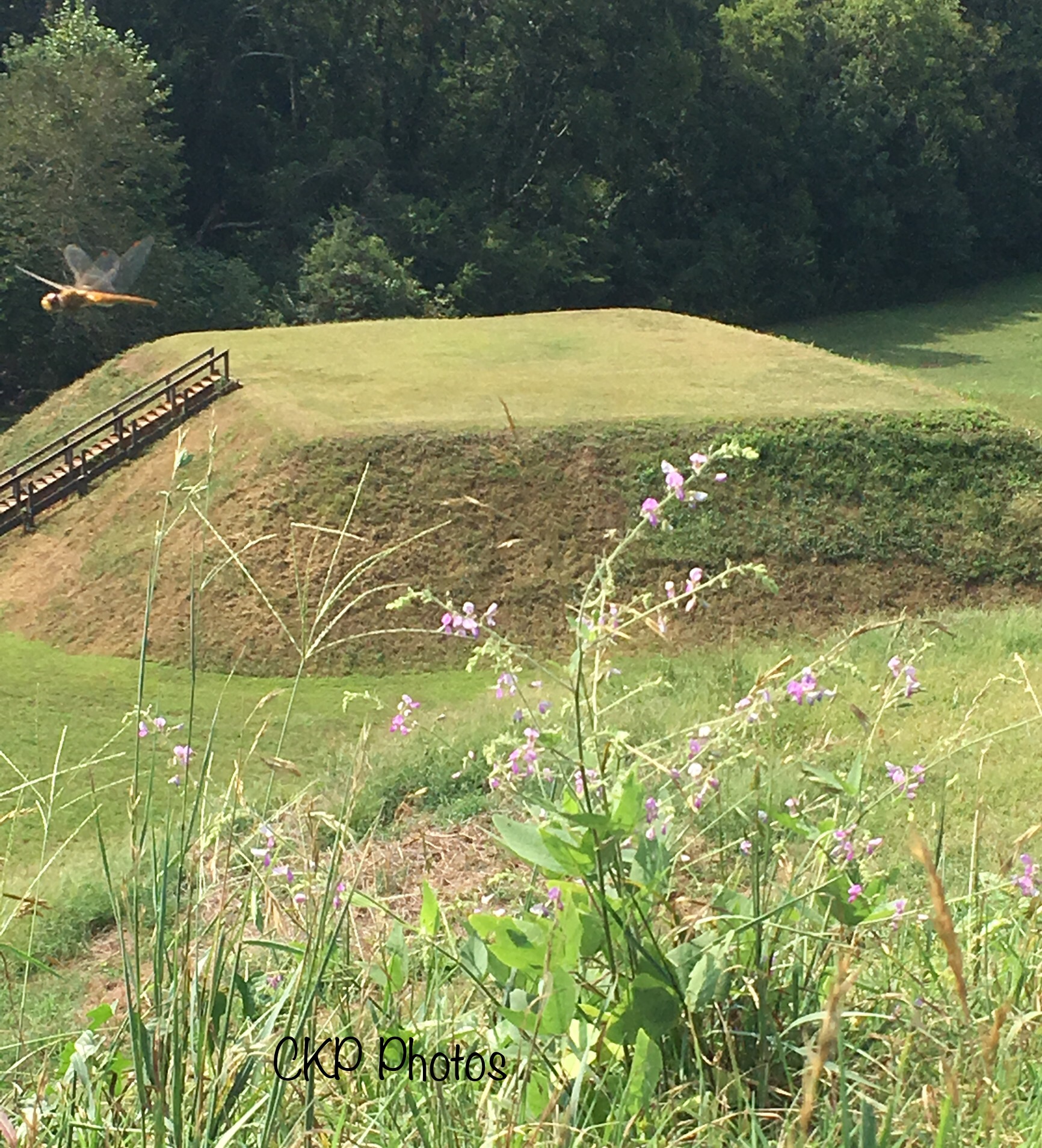 144701AF-CE9E-42E9-9816-B63E6BDF1848