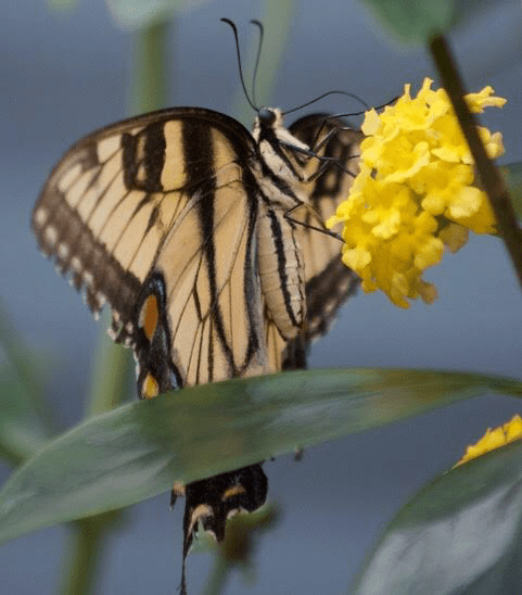 1D7D7817-E331-4390-8C5D-A9B2F4E86135