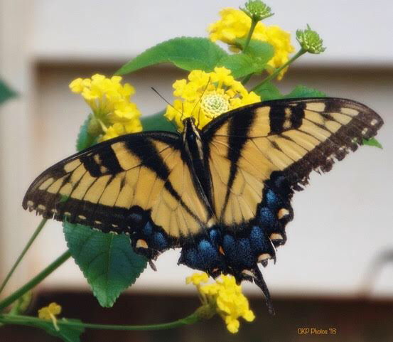 21AECDBC-0FBD-4677-8F59-0B2F444486C4