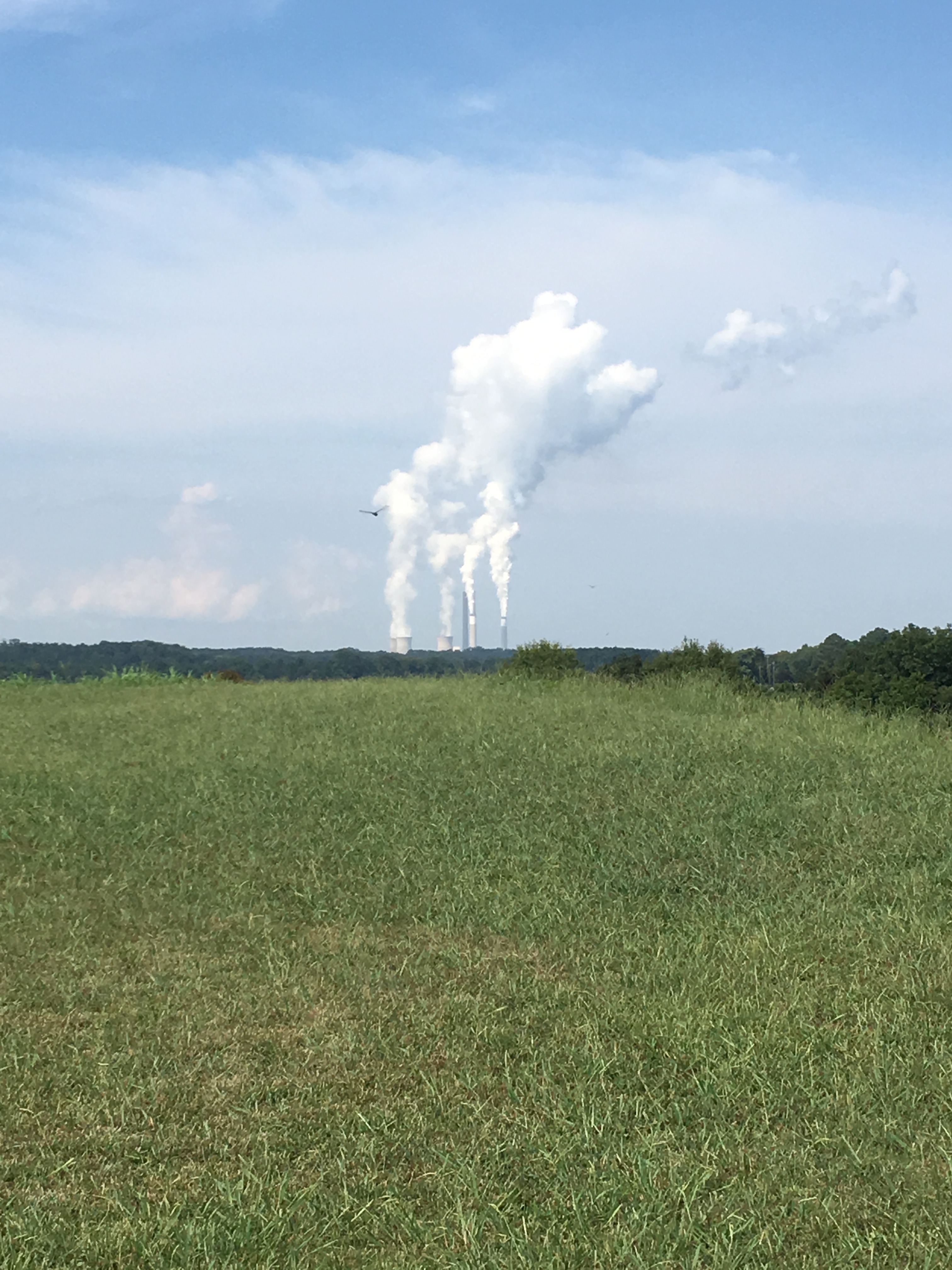 38AB909D-8784-45A0-BD75-17F7D1CDDE95