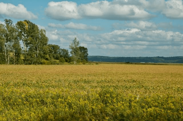 43AE5DC2-11D7-4152-A98A-4CA07376D1A2