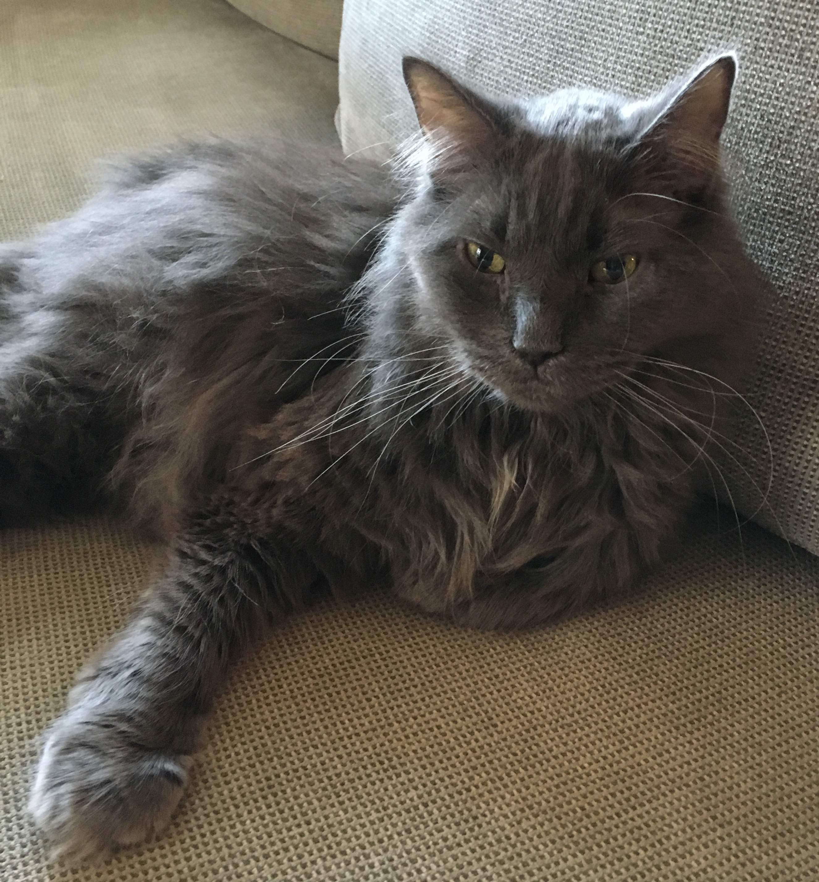 5655B2FA-FF46-42FB-8EC2-A92D5D63962F