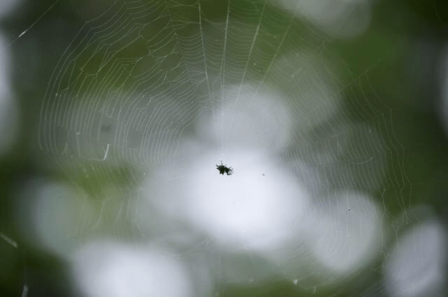 C0C32EF5-9D6E-4421-BDD9-C9BA7826039C