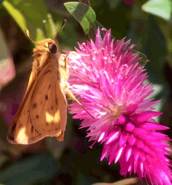 F9E82D40-2A39-42C5-9A34-4827199DBF02