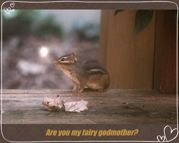 When You Wish Upon a&nbsp;Star…