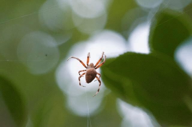 3401429C-66FA-4A66-8205-FBC0BFA2C66F