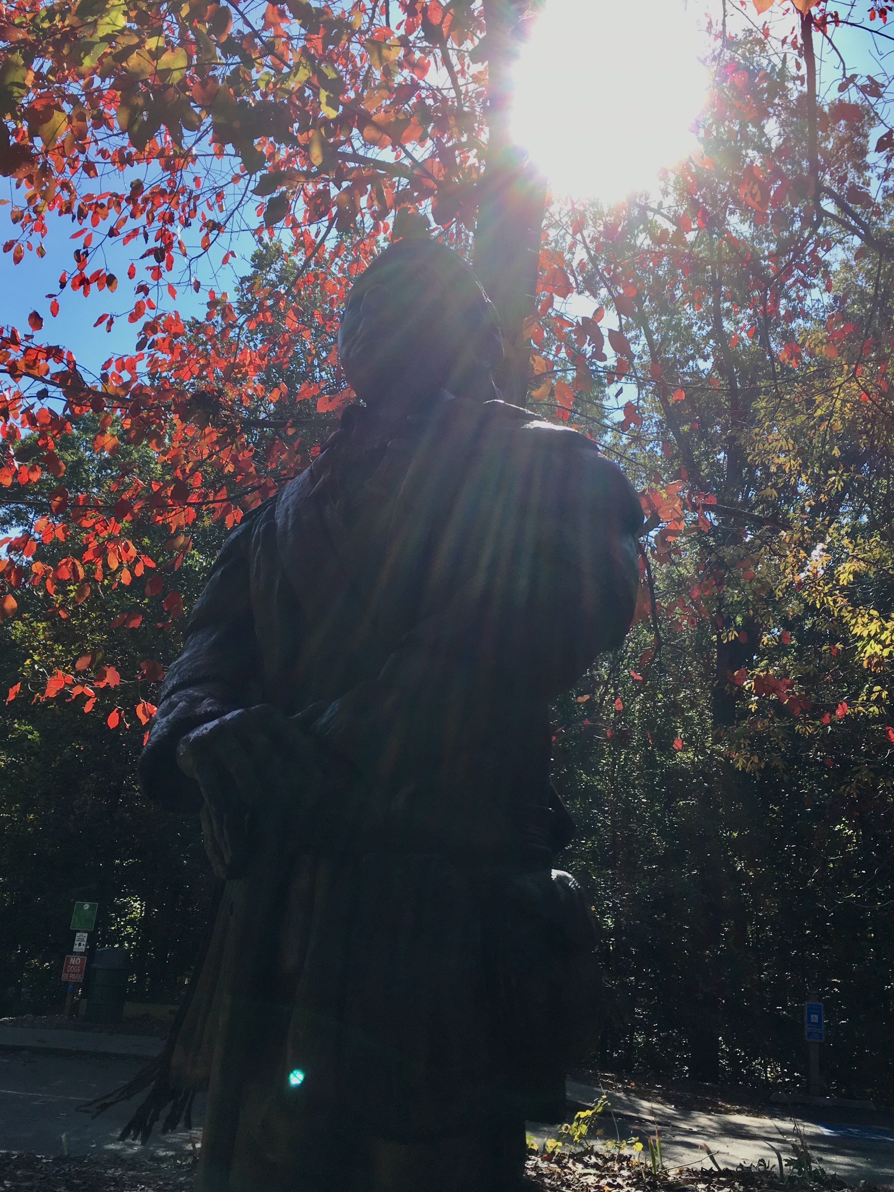 52996013-900C-4F05-8080-00D97733A574