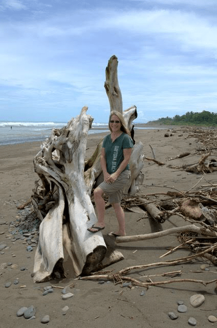 38CE364E-380A-4DC4-8496-37FAE0395CF2