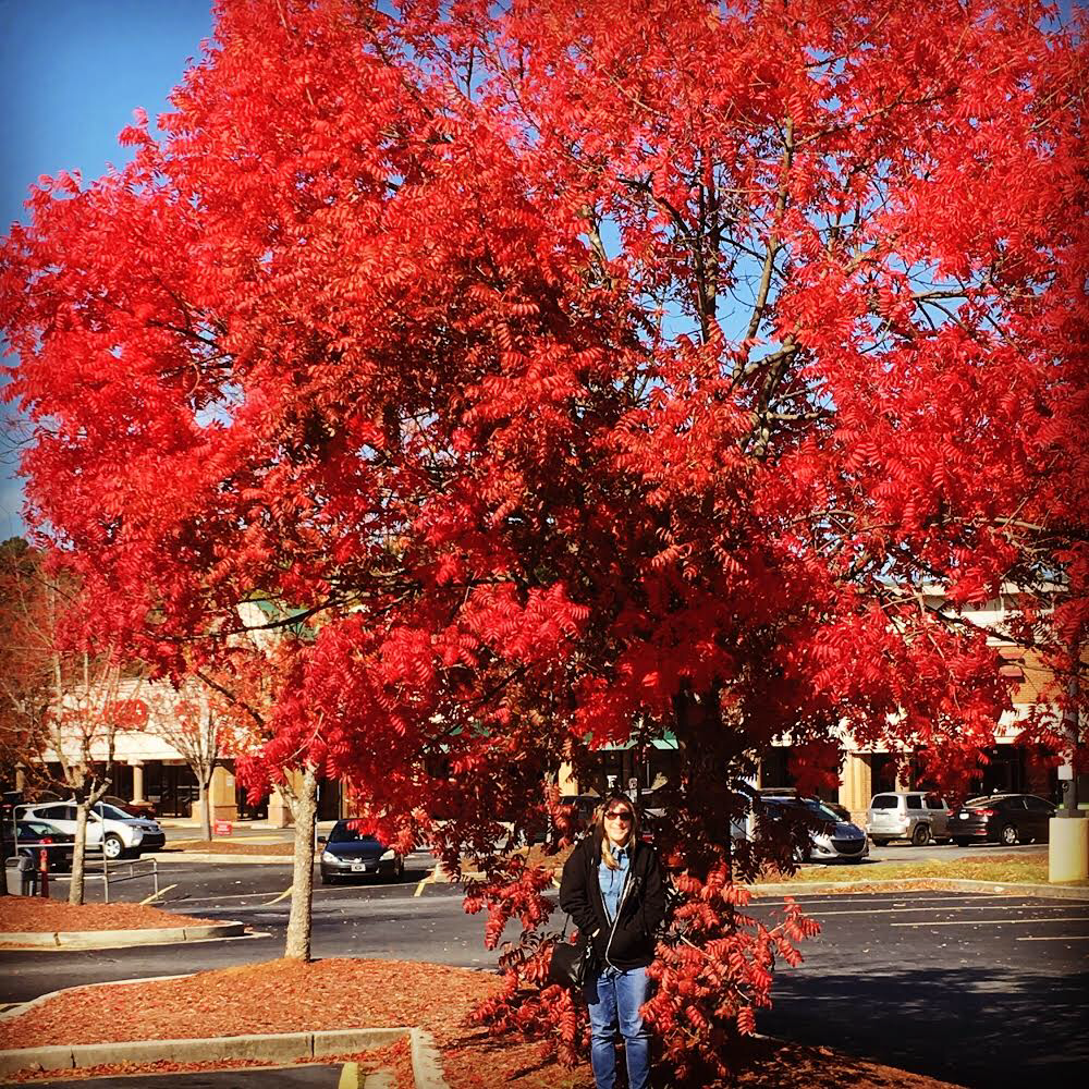 60EC3163-5E47-4193-8F0B-E6ED0C96A58E