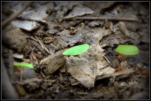 CC19E62B-3433-41D3-9170-D4FB0EF1B43D