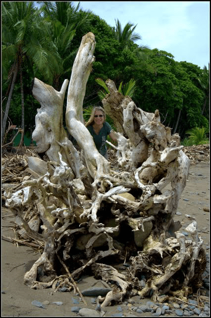 EB04C890-2FF9-4A52-B838-CF91D5A84A92