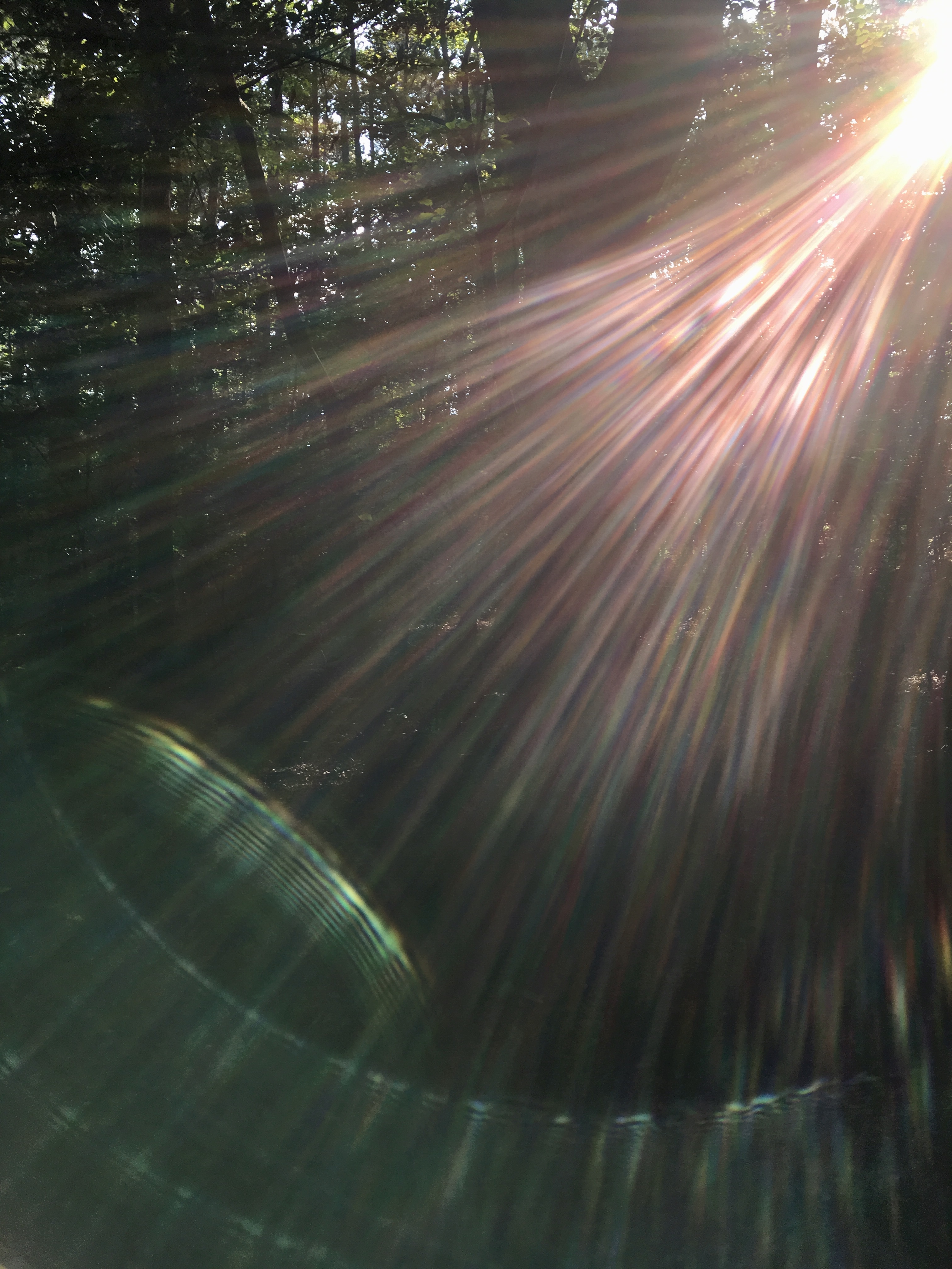 FCC447AD-4241-411A-AAD9-7122E60D22D1