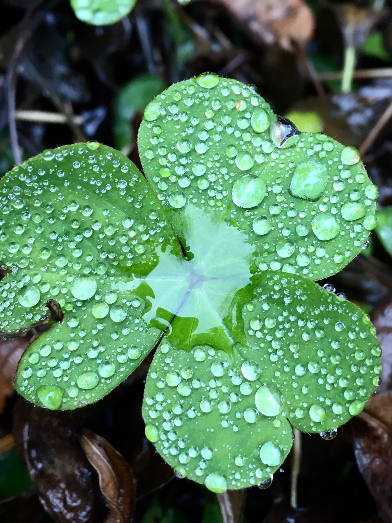 692C7174-3DFA-4E4E-A4FF-BE1FFF226853