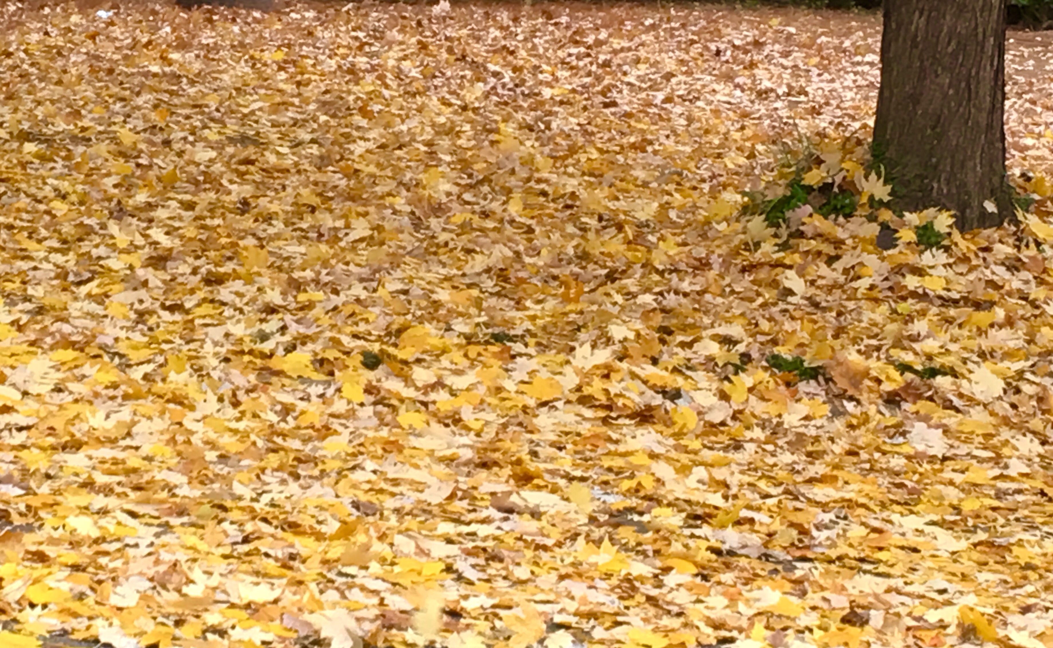 C2B68DAA-41DF-4EE1-B235-82EB46228AE5