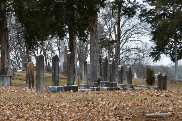 27ecce0c-1896-4ea8-b9df-83a489eaa8e1