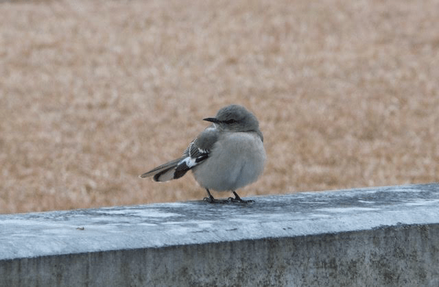 58cb4eea-37fa-473e-aa23-8d9a8e50fe50