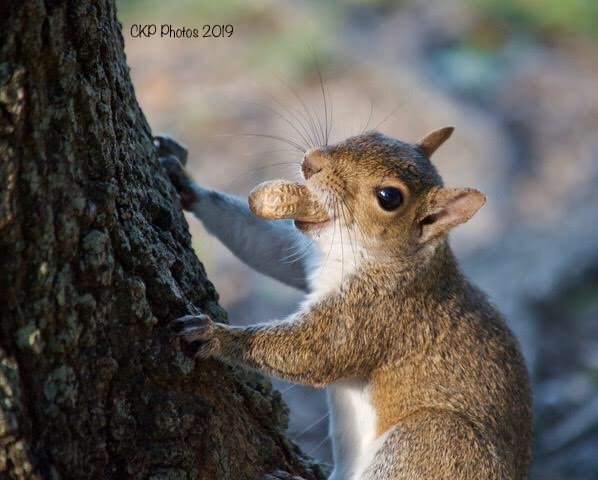 5c6abd4c-ab7b-485a-b57a-64a5f131fbc0