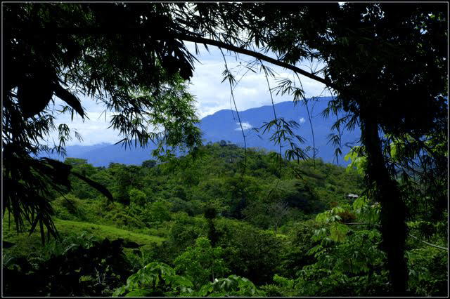 8ad770c4-5ba6-4729-88bb-e7ec53759b26