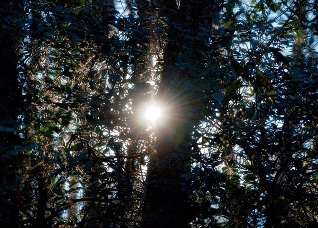 A Good Day/#poetry&nbsp;#photography