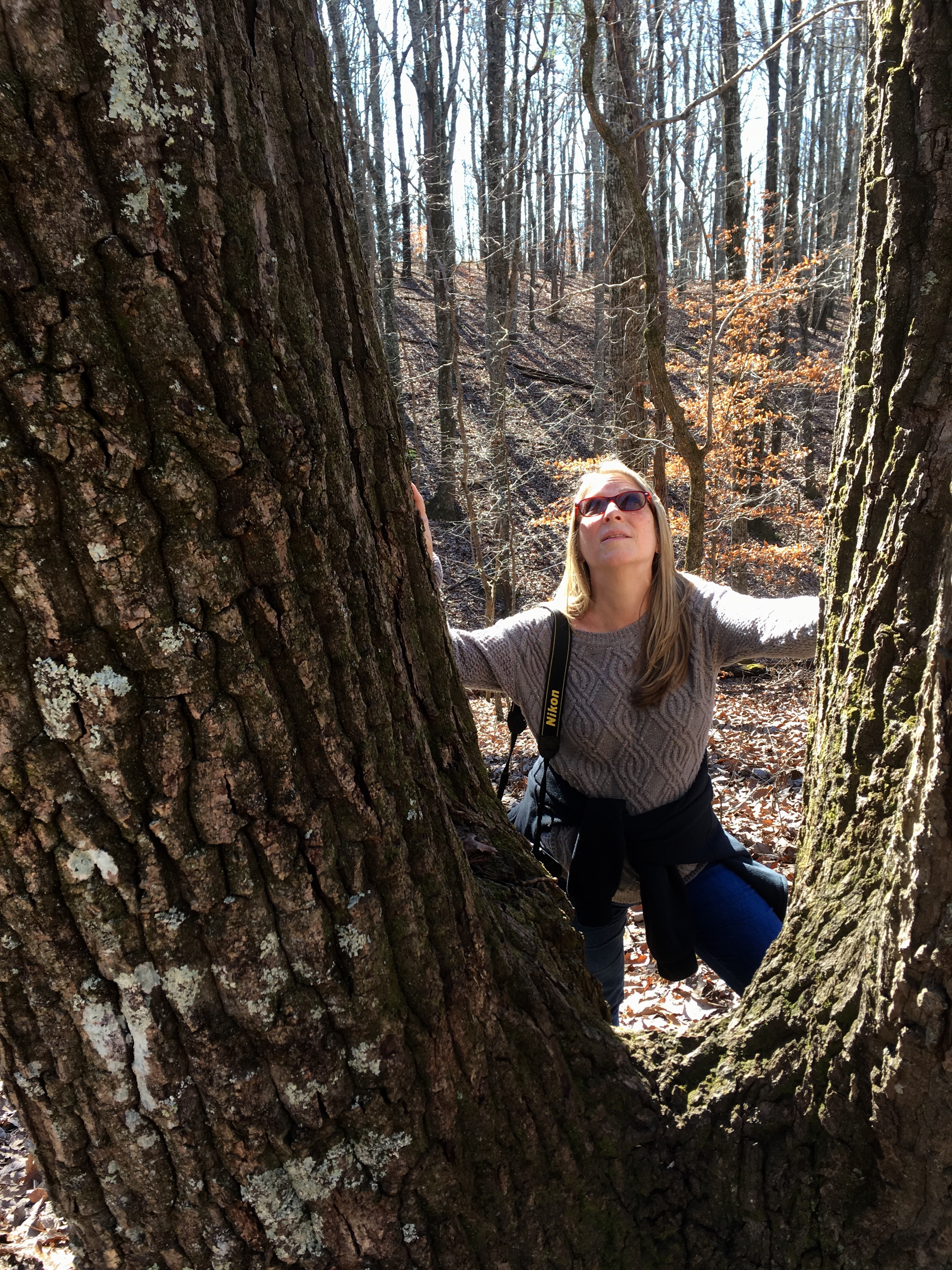 a64427e6-a983-4384-ba26-3e952282443c