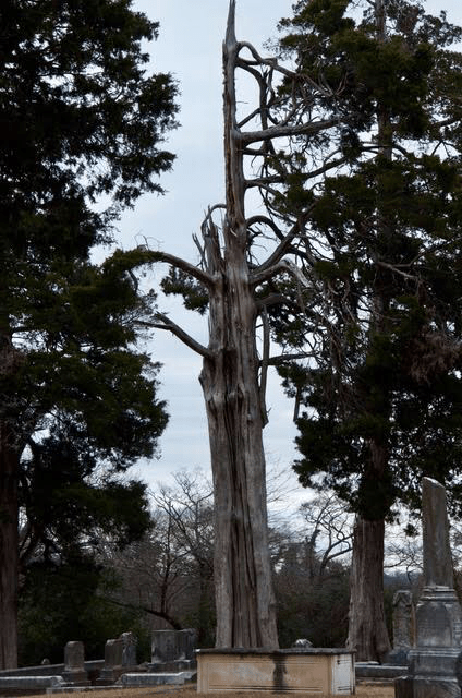 dbf213df-f9d5-4a4d-8fd7-69139d1d9c1b