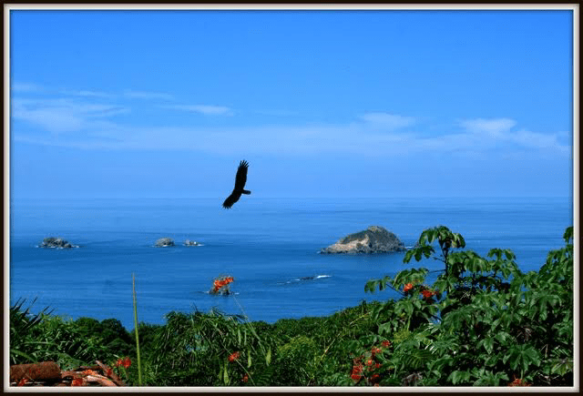 e7d68b80-b7ed-489a-af31-9b30b96b4bad