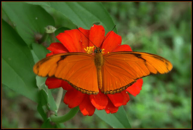 In a Moment&nbsp;#1LinerWeds