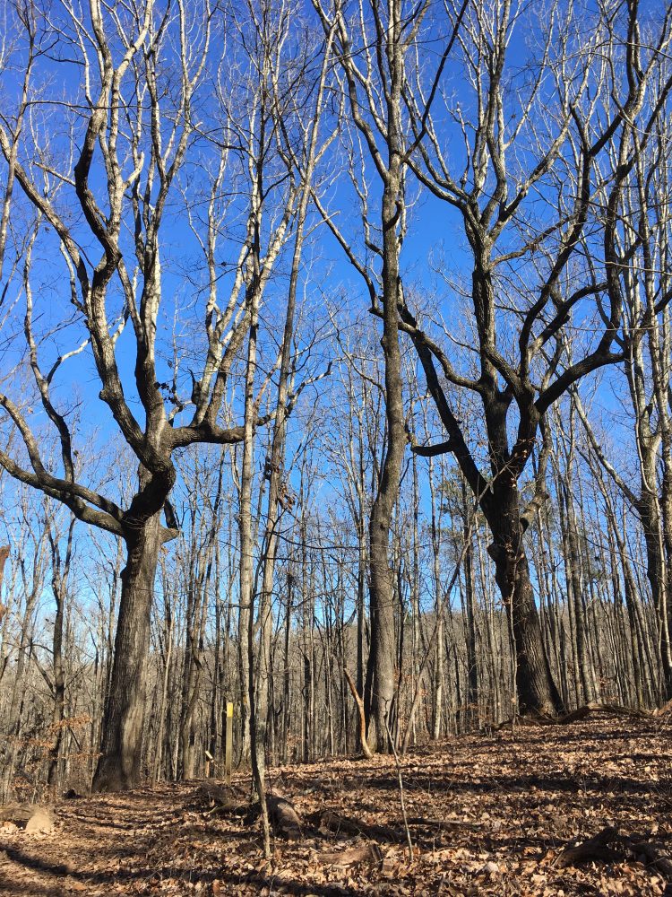 Neverending Story/Photography/Music/Movies