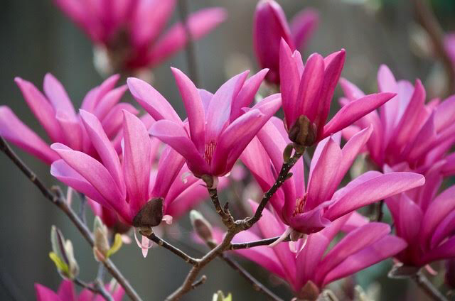 The Angels Are&nbsp;Crying..