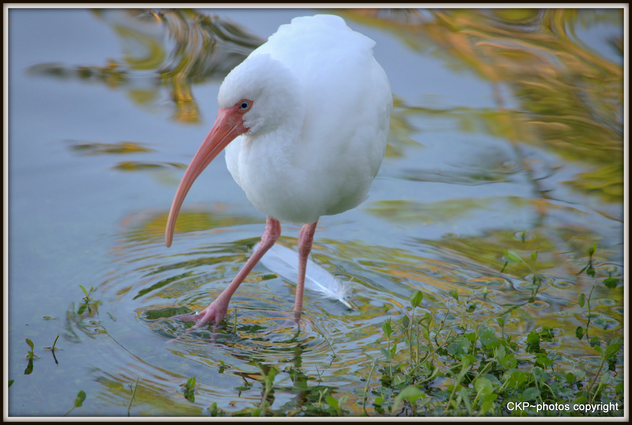 28777409-DBFA-467A-8B02-9E359B41230C