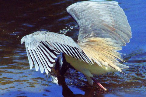 5C2313D8-05D9-439F-931A-1A4245432286