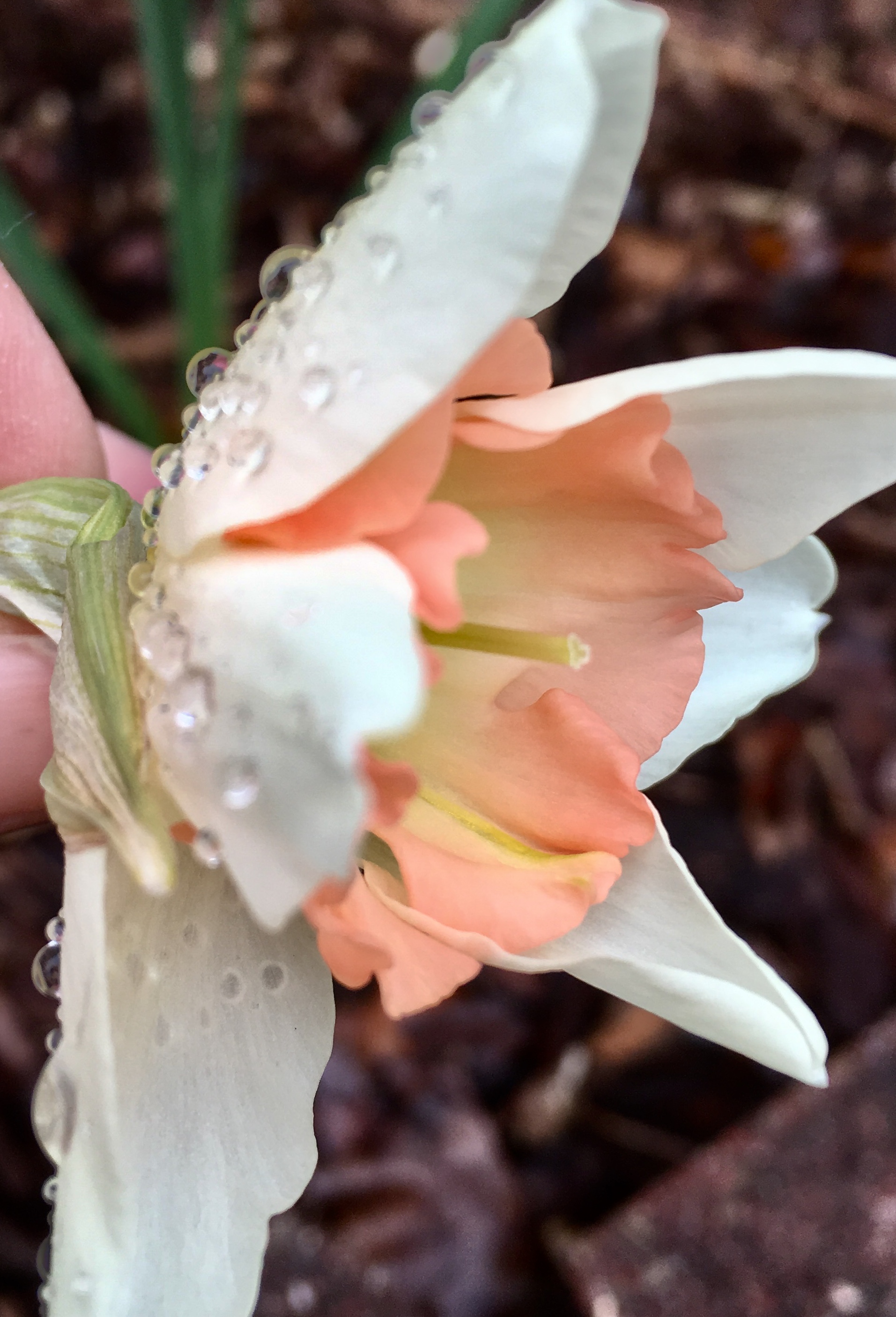 13A7B01C-D983-4ABD-95E2-932CC5F82557